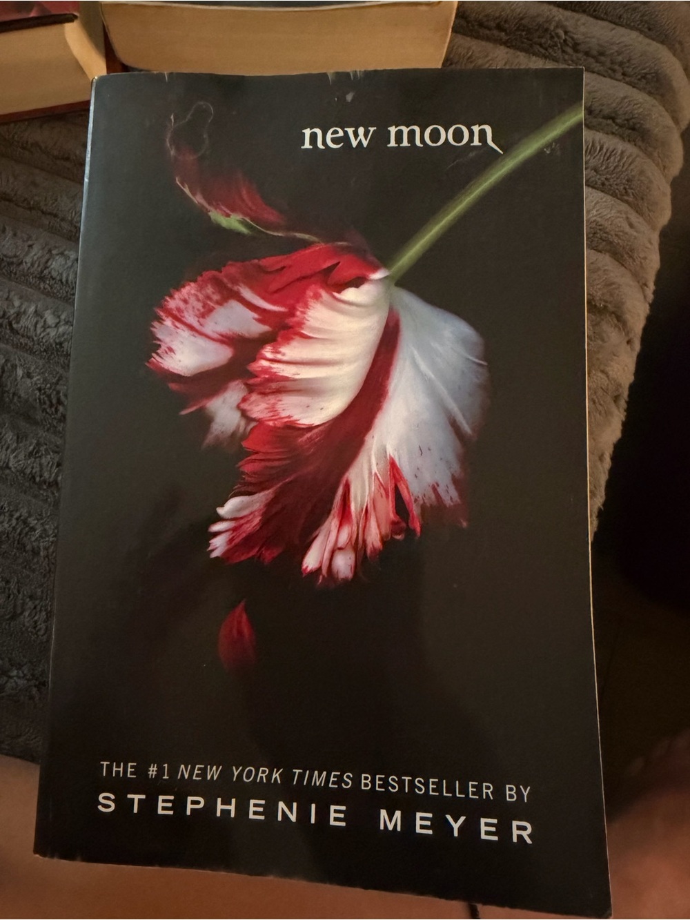New Moon - #1 New York Times Bestseller